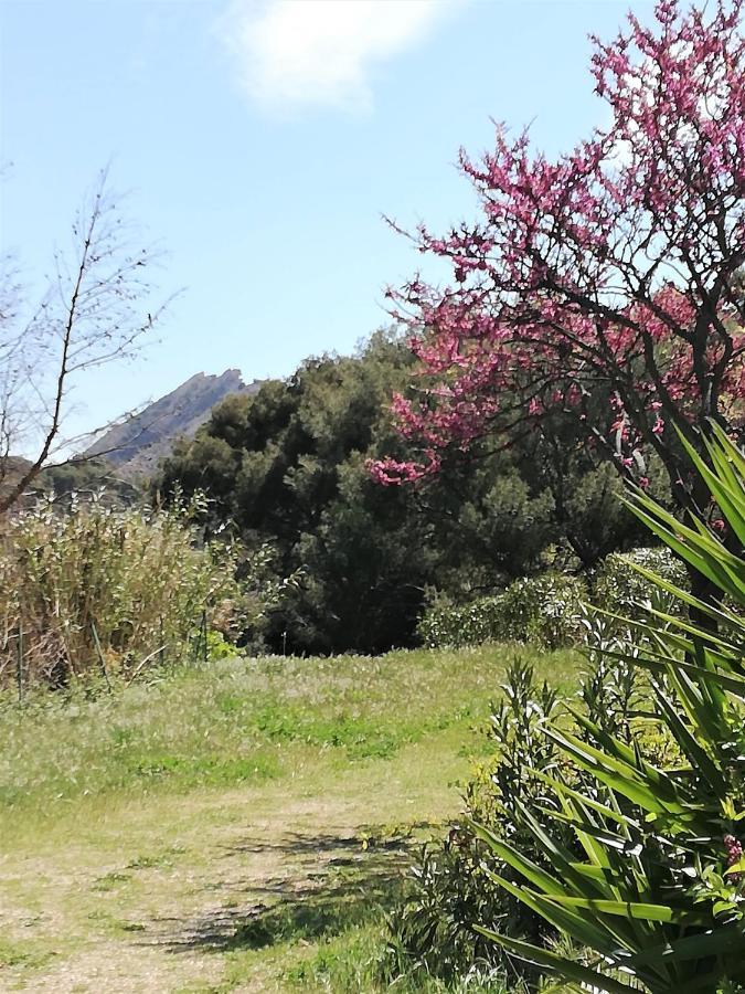 Studio 28M2 Climatise,Wifi, Proche Des Calanques,Plages La Ciotat Exterior photo