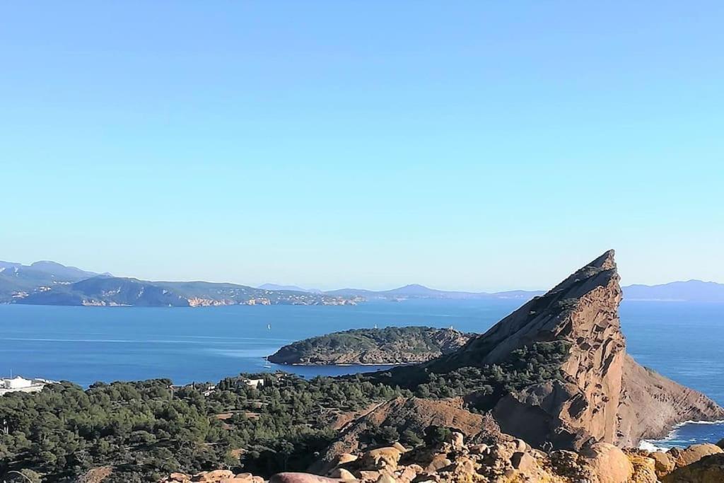 Studio 28M2 Climatise,Wifi, Proche Des Calanques,Plages La Ciotat Exterior photo